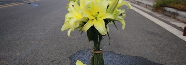 买回家的百合花怎么醒花