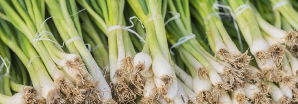 买回家的葱怎么保存