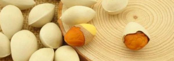 银杏仁煮多长时间能熟