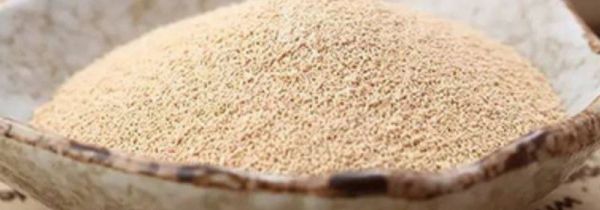 酵母能代替泡打粉吗