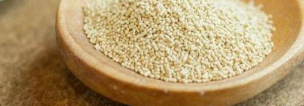 酵母能放冰箱吗