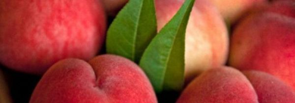 桃子皮可以吃吗