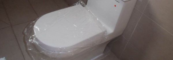 头发可以冲进厕所吗