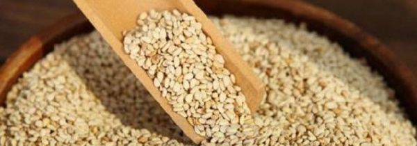 生芝麻可以直接吃吗