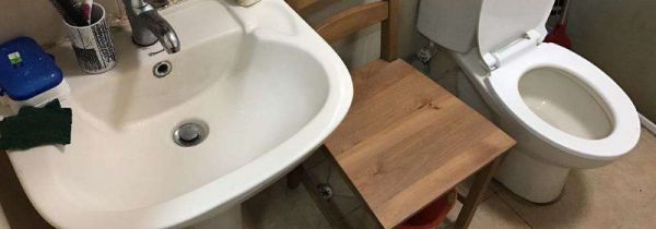 冲进厕所的东西去哪了