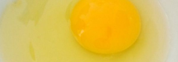 醋泡鸡蛋能去斑吗