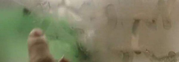 冬天的哈气是怎么形成的