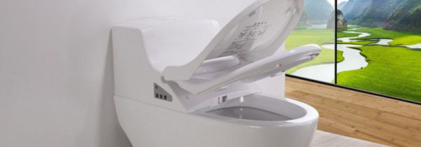 马桶坐便圈怎么清洁