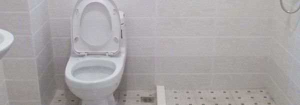 怎么能把坐便器清洗干净