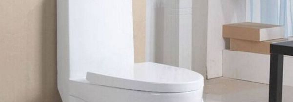 马桶可以对着门吗