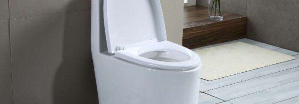 马桶可以蹲在上面吗