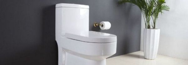 马桶可以扔卫生纸吗