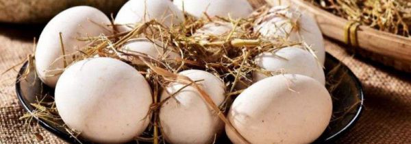 如何挑选鸡蛋是否新鲜