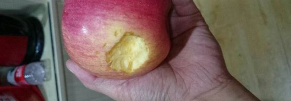 老鼠咬过的苹果还可以吃吗