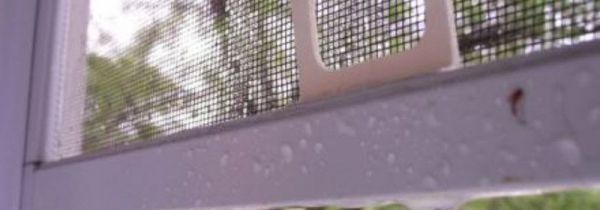 厨房纱窗清洗的妙招