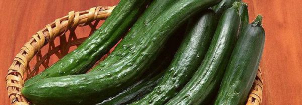 黄瓜可以生吃吗