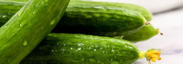 黄瓜可以减肥吗