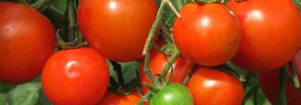 西红柿能去痘印吗