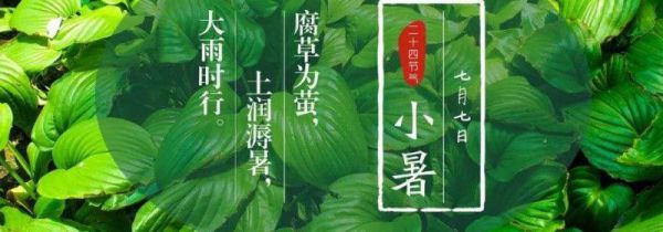 大暑小暑是什么意思