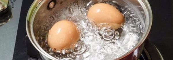电饭锅煮鸡蛋需要多长时间