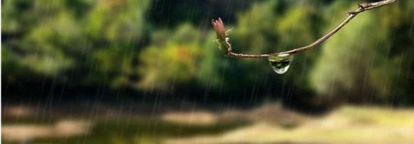 梅雨天气注意事项