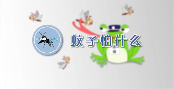 蚊子怕什么