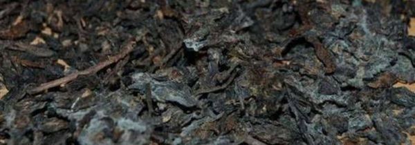 发霉的茶叶可以喝吗