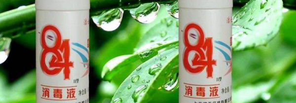 84消毒液能杀死真菌吗