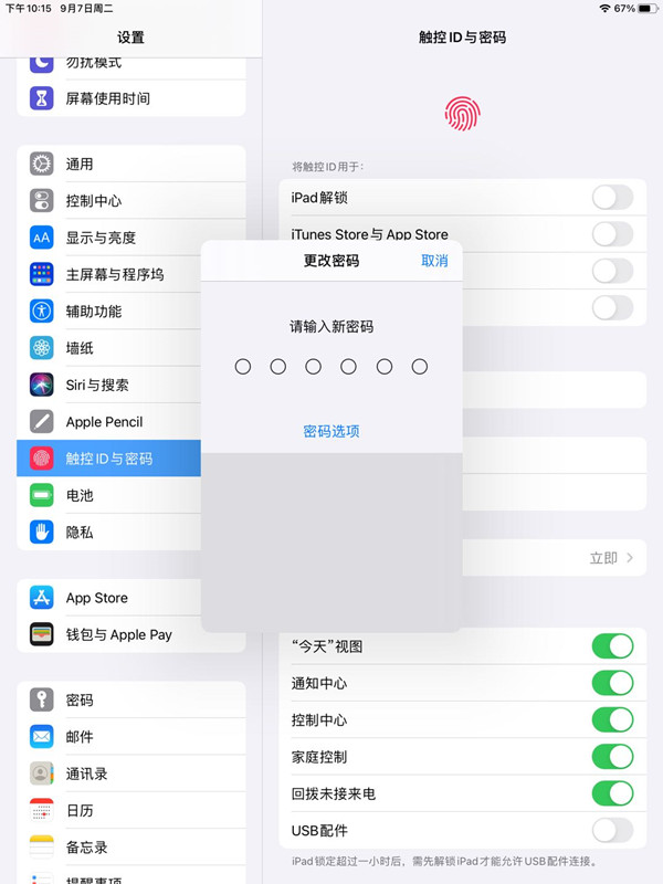 ipad怎么设置单个app密码