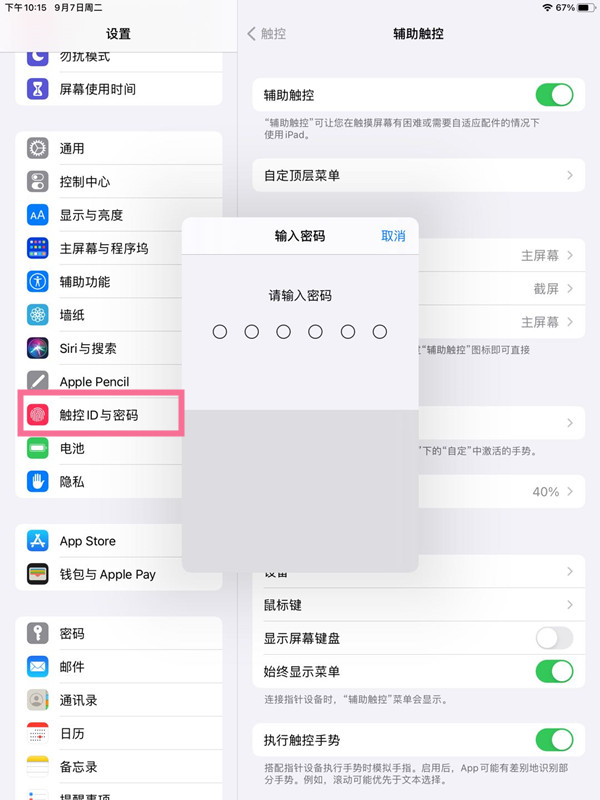 ipad怎么设置单个app密码