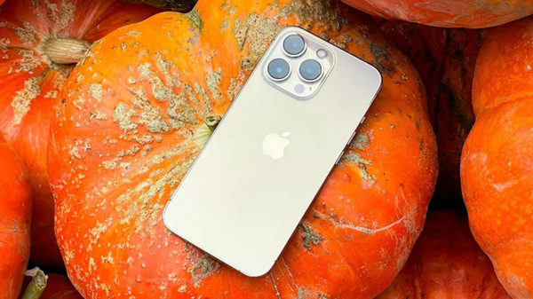 iphone13pro可以插几张卡