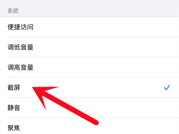 苹果轻点背面怎么设置