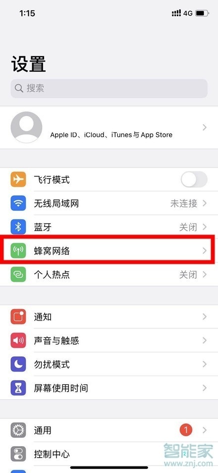 苹果手机5g开关在哪里