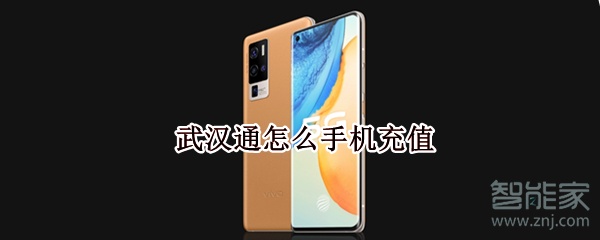 武汉通怎么手机充值