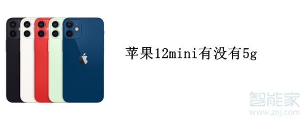苹果12mini有没有5g
