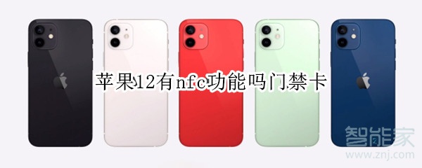 苹果12有nfc功能吗门禁卡
