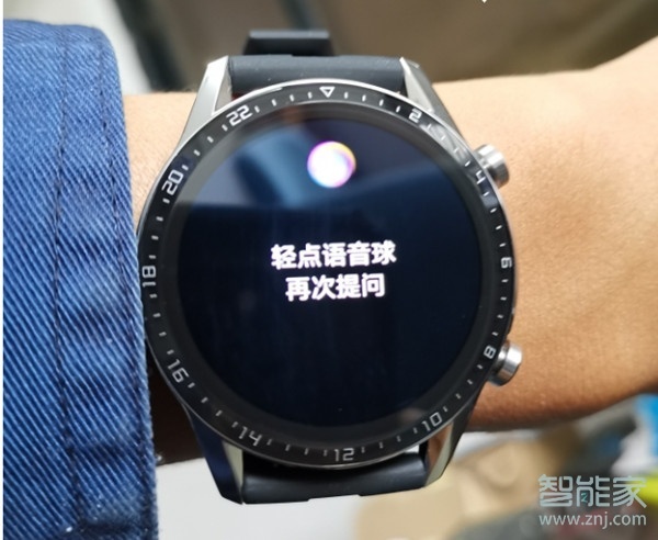 华为手表gt2有语音助手