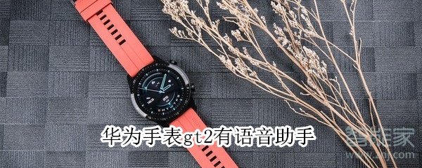 华为手表gt2有语音助手