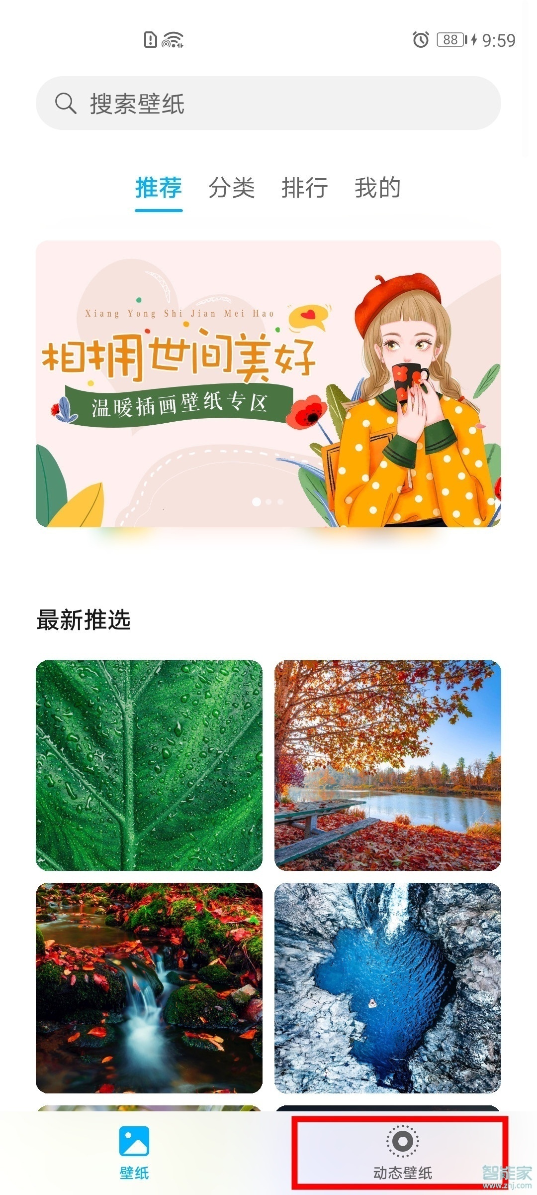 华为mate40怎么设置动态壁纸
