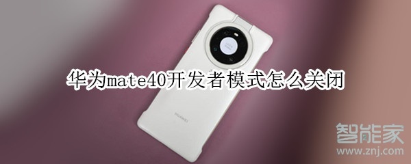 华为mate40开发者模式怎么关闭