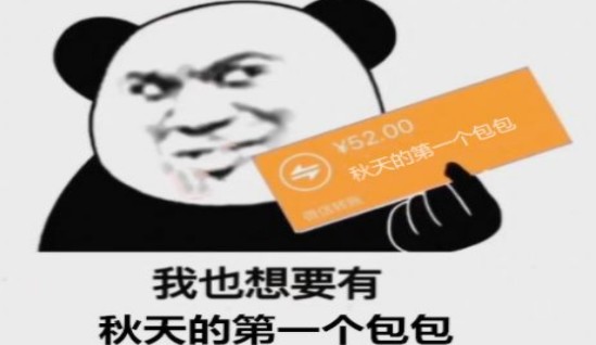 秋天的第一个包包是什么意思?秋天的第一个包包表情包大全