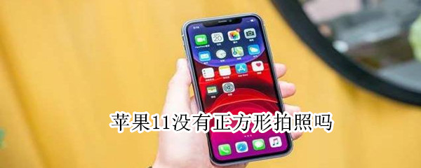 苹果11没有正方形拍照吗