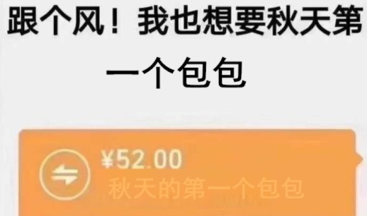 秋天的第一个包包是什么梗?秋天的第一个包包图片说说大全