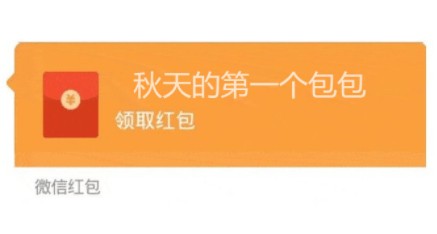 秋天的第一个包包是什么梗?秋天的第一个包包图片说说大全