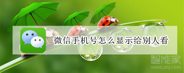 微信手机号怎么显示给别人看
