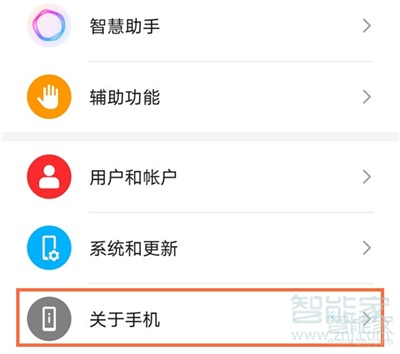华为p40开发者选项在哪里