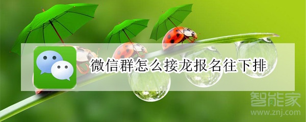 微信群怎么接龙报名往下排