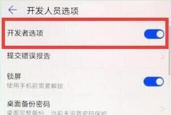 华为nova6怎么关闭开发者模式