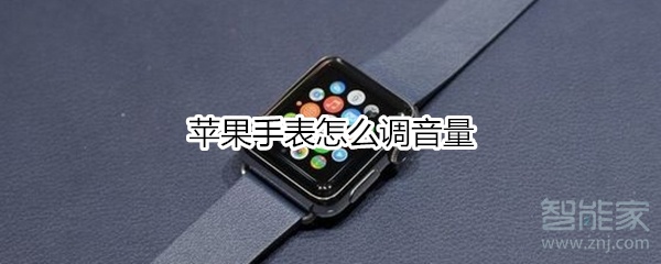 苹果手表怎么调音量