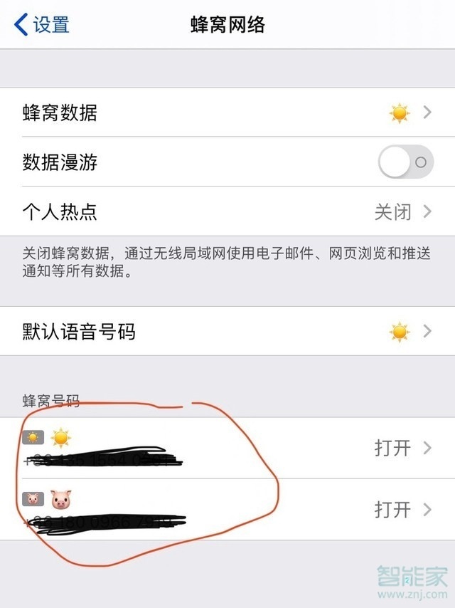 苹果11主副卡怎么设置